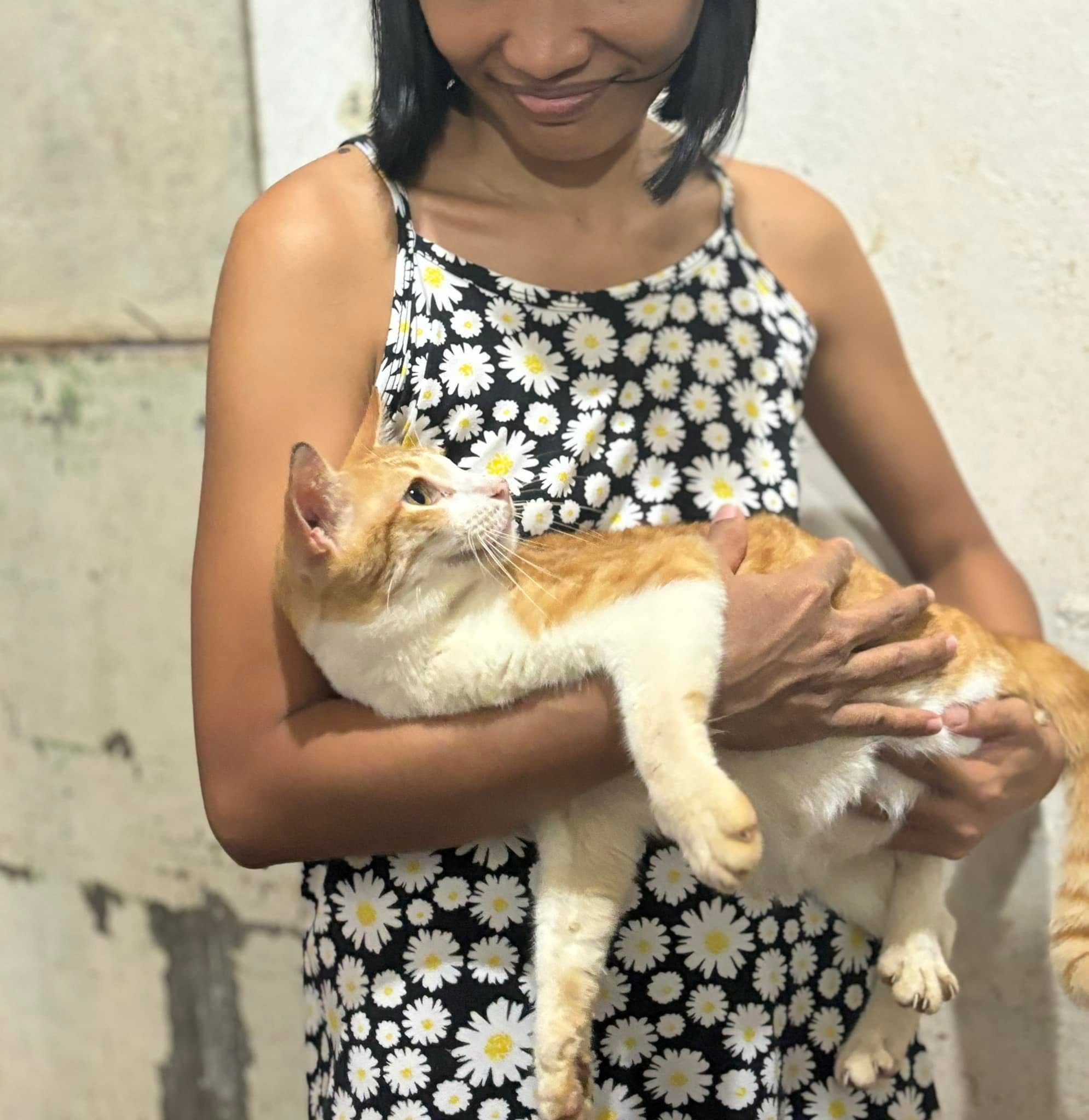 Founder caring for rescued animals